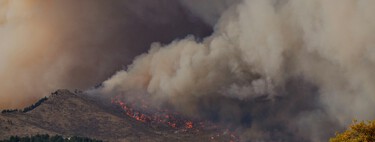 España tiene hoy 12 días de "riesgo extremo" de incendios más al año: la causa no son ni los pirómanos ni los ganaderos