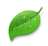 Coda actualizado a la versión 1.5