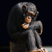 Aburrirse en el trabajo, el primer paso hacia la puerta de salida de la empresa 