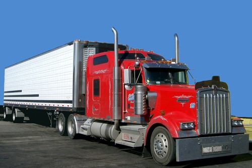 Camioneros Mexico Ingles Obligatorio Trump