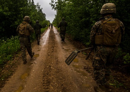 Image From Rawpixel Id 8727996 Jpeg