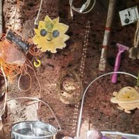 Como na pré-história: mulher e filhas viviam isoladas em caverna na Índia até serem descobertas e enviadas de volta para a Rússia 