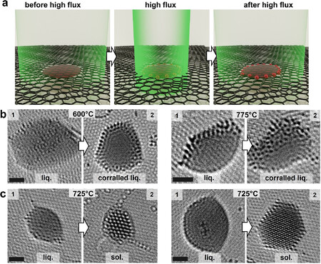 Nottingham university, ACS nano