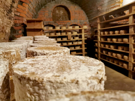 Granoro Bodega