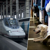 Asturias lleva años luchando por tener una conexión de tren digna. Y ahora además está luchando por incluir a sus perros