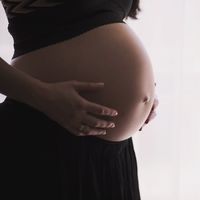 Una nueva técnica de reproducción asistida logra el embarazo en una mujer infértil por la mala calidad de sus ovocitos 