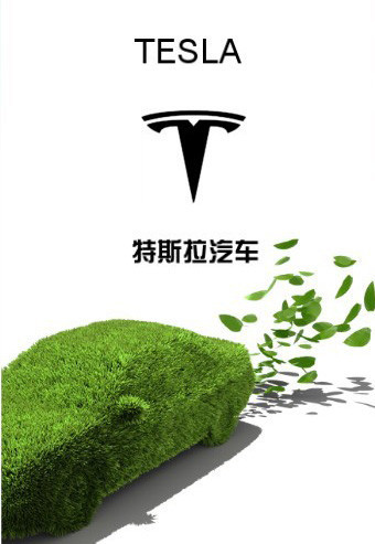 Tesla China