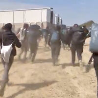 Más problemas para Elon Musk: activistas climáticos radicales invaden la gigafactoría de Tesla en Berlín 