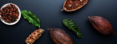 Aprende a catar e identificar el buen chocolate: lo importante no es el porcentaje absoluto de cacao