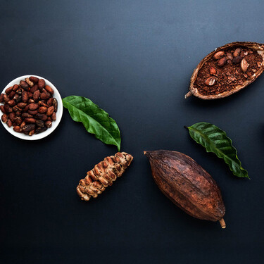Aprende a catar e identificar el buen chocolate: lo importante no es el porcentaje absoluto de cacao