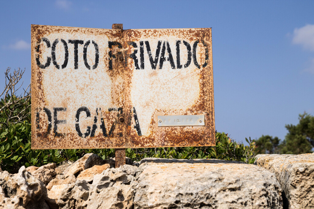 España no sabe si le sobran o le faltan conejos. Pero este pueblo de Toledo les ha declarado la guerra por su cuenta y riesgo