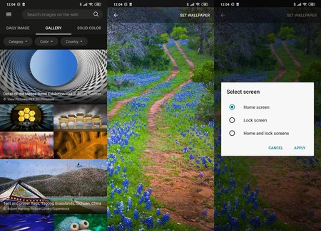 Bing の壁紙 壁紙