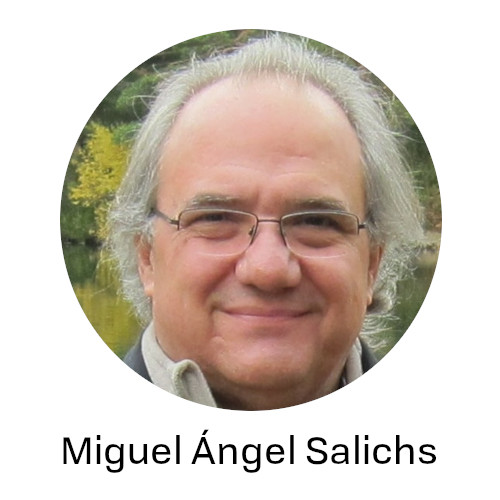 Salichs