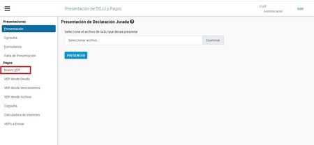 Presentacion De Ddjj Y Pagos 2