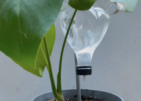 Captura De Pantalla 2025 07 24 A Las 16 24 06