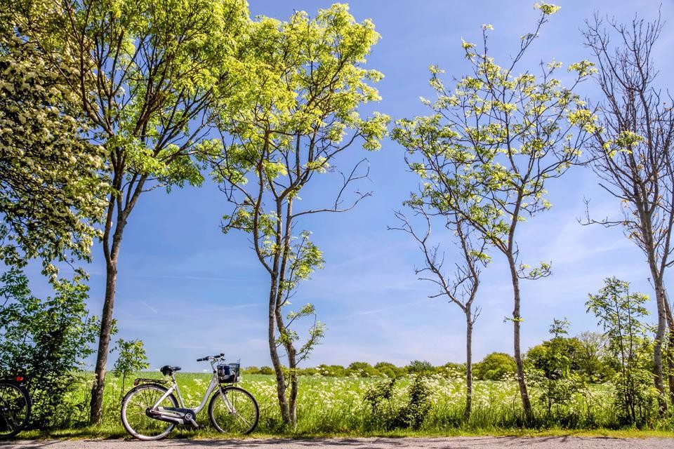 7 razones para recorrer Dinamarca en bicicleta