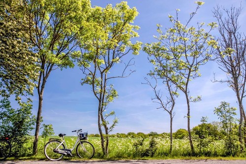 7 razones para recorrer Dinamarca en bicicleta