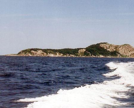 La isla de las serpientes