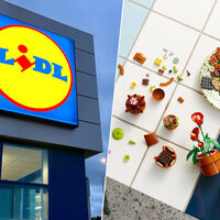 Lidl tiene el set de Lego perfecto para decorar la casa con nueve plantas diferentes 