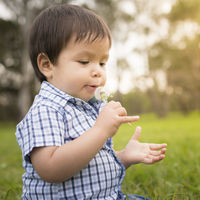 Alergia al polen en niños: cómo prevenir y aliviar los síntomas de rinitis en los más pequeños