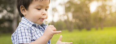 Alergia al polen en niños: cómo prevenir y aliviar los síntomas de rinitis en los más pequeños