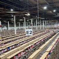 La imagen que resume una era: millones de libros en un almacén esperando a ser destruidos tras entrenar a una IA