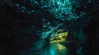 La cueva luminiscente de Waitomo