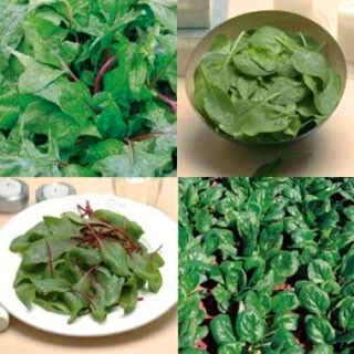 verduras de hoja verde.jpg
