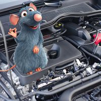 Honda está vendiendo cinta aislante con un toque de picante para evitar uno de los peores problemas de confiabilidad en los coches: las ratas