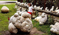 Rumania: las piedras que crecen