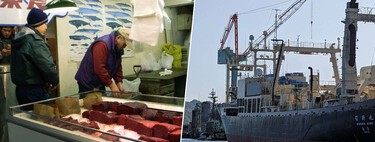 Japón se reafirma en la caza de las ballenas. Y tiene un ballenero de última generación con drones y gran autonomía