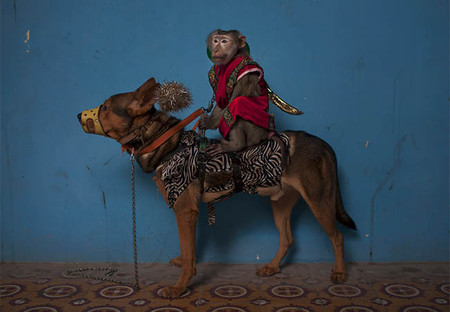 Christian Rodríguez se hace con el Premio Nuevo Talento Fnac de Fotografía 2013