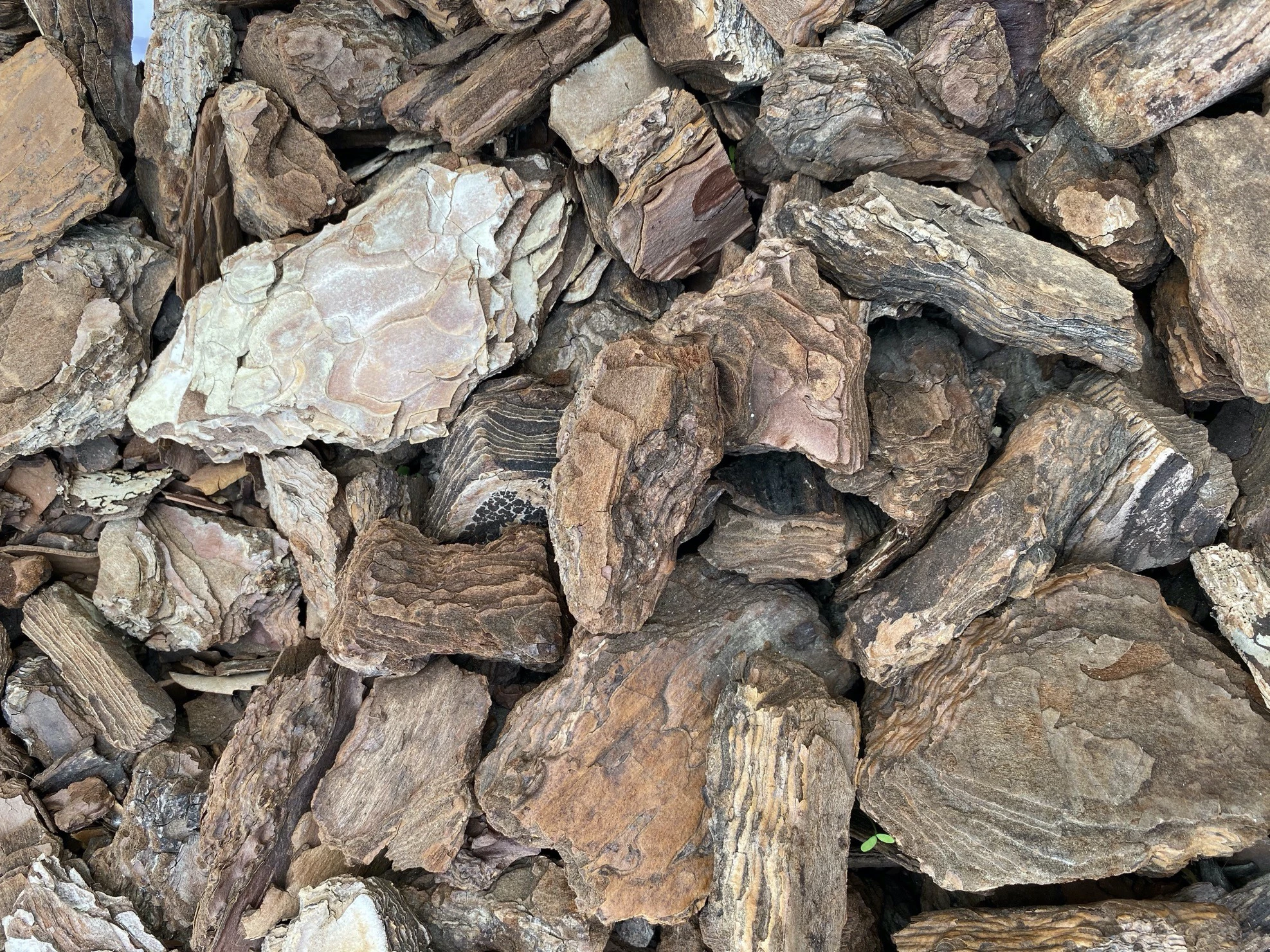 Foto de Fotografía diurna (1/23)