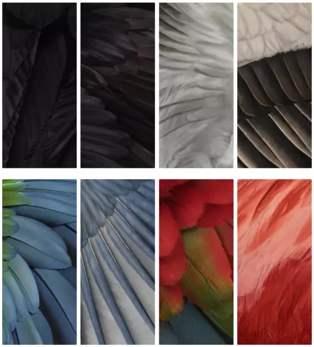 グーグルの壁紙