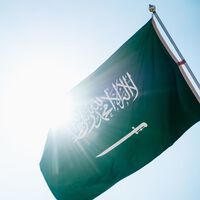 Ni China ni Toyota. La gran favorita para quedarse con el último equipo de la F1 es Arabia Saudí a golpe de talonario 