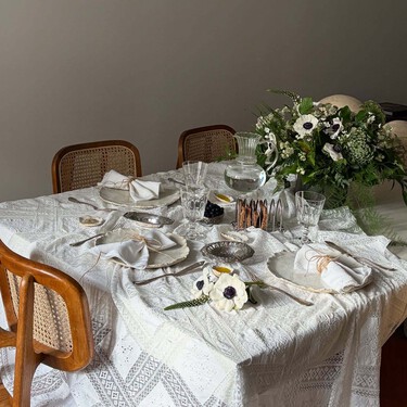 Ya disponible en Lidl la planta más discreta que no necesita mucho mantenimiento y cuesta menos de dos euros