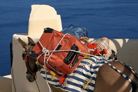 Santorini: del puerto a la ciudad a lomos de burros