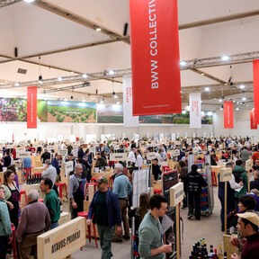 La feria del vino más importante de España termina con un mensaje claro a las bodegas: hay que dejar de centrarse en el tinto