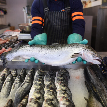 Por qué el pescado se estropea más fácilmente que la carne, cómo conservarlo mejor y cinco trucos para reconocer que sigue fresco 
