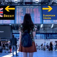 No, el supuesto tratado de libre comercio entre el Reino Unido y la UE tampoco evitará el impacto del Brexit