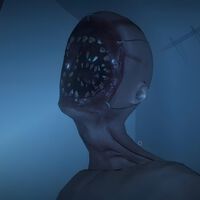 Con una idea brillante y solo 14 trabajadores, han logrado vender 20 millones de juegos y generar más de 300 millones de dólares