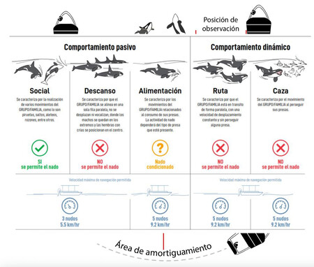 Criterios De Nado Con Orcas