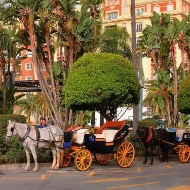 Los ecologistas celebran el fin de los paseos en carros de caballos por Málaga