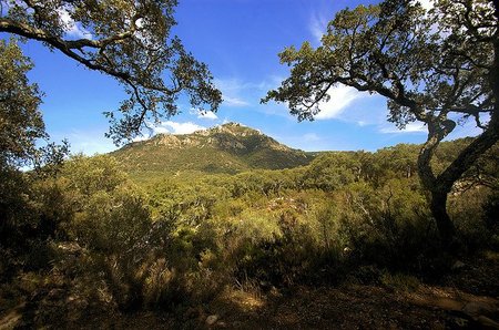 Parque Natural Los Alcornocales: entre Tarifa y Jerez