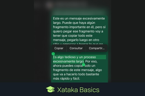 Copiar Fragmento