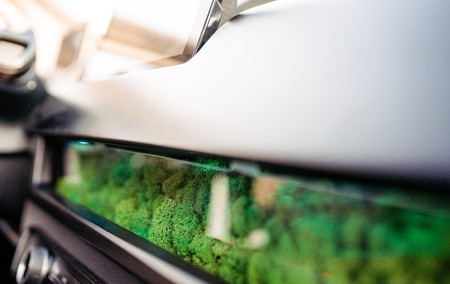 Sono Motors Sion Bresono Moss Filter