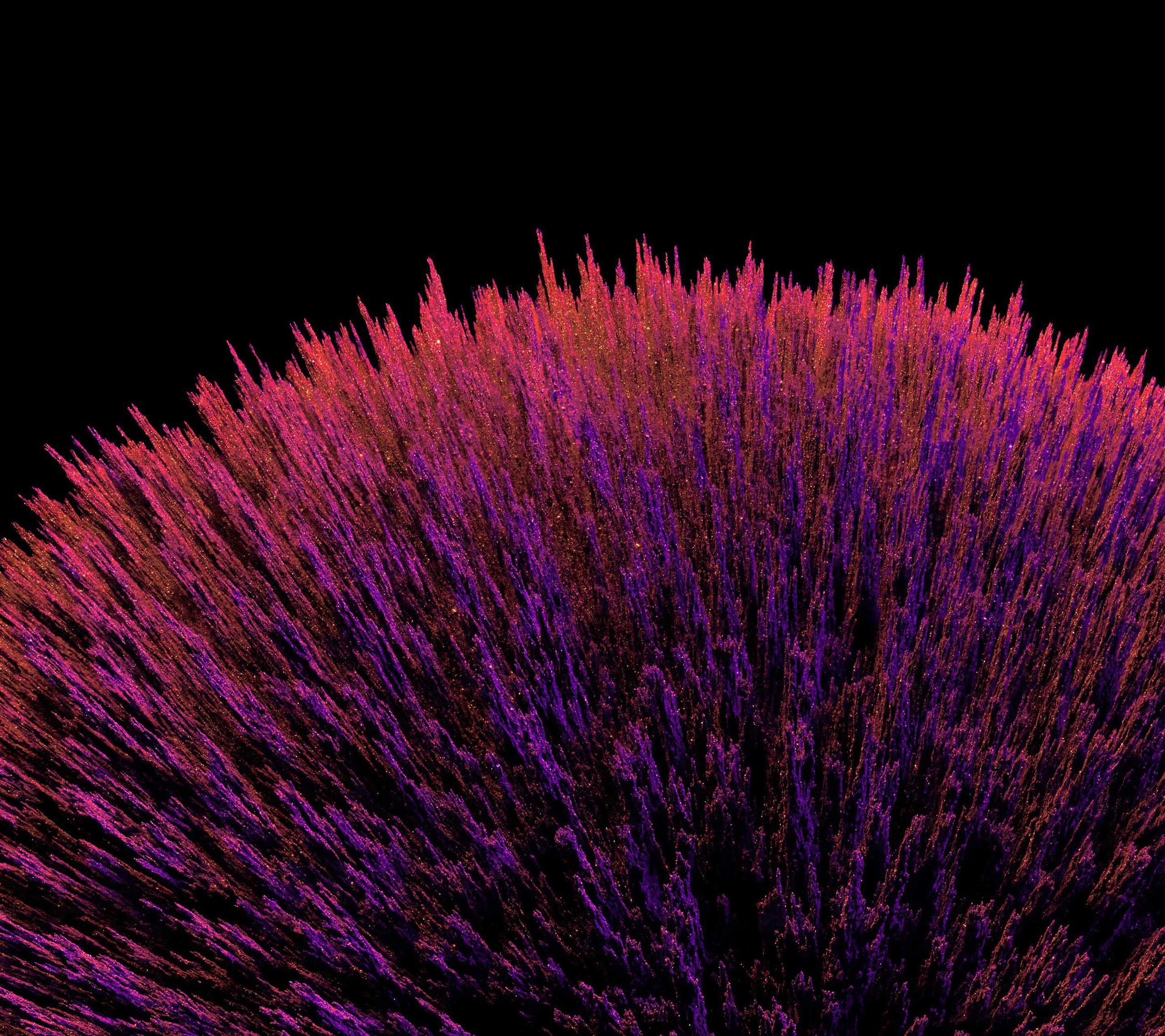 Foto de Fondos de Nexus (7/13)