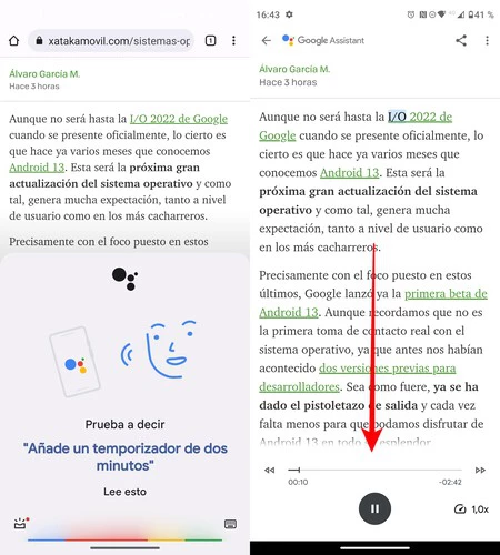 Leer Texto Google Assistant