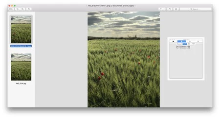 アプリを使用してEXIFデータを削除した後の上記と同じ画像。