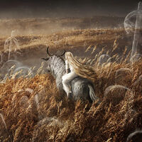 El DLC de Elden Ring da nuevas señales de vida. Aunque sigue sin fecha, no hay motivos para preocuparse por su lanzamiento 